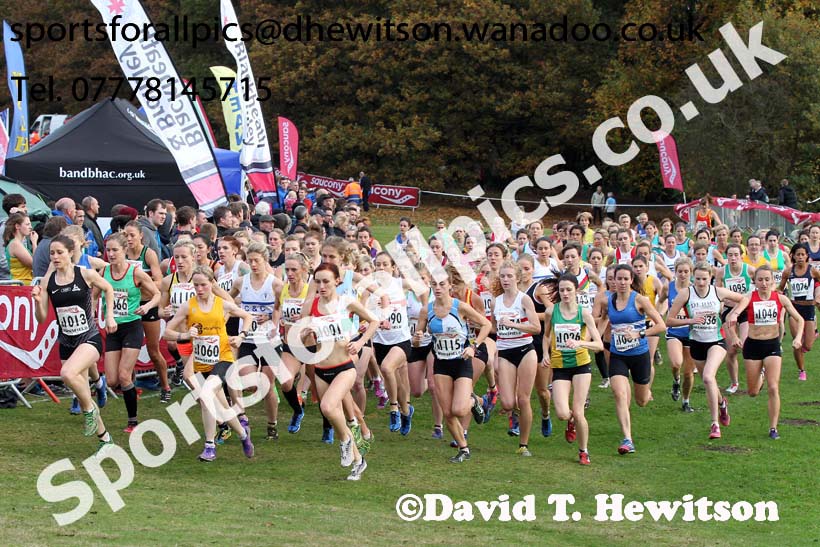 Senior womens National Cross Country Relays. Photo: David T. Hewitson/Sports for All Pics
